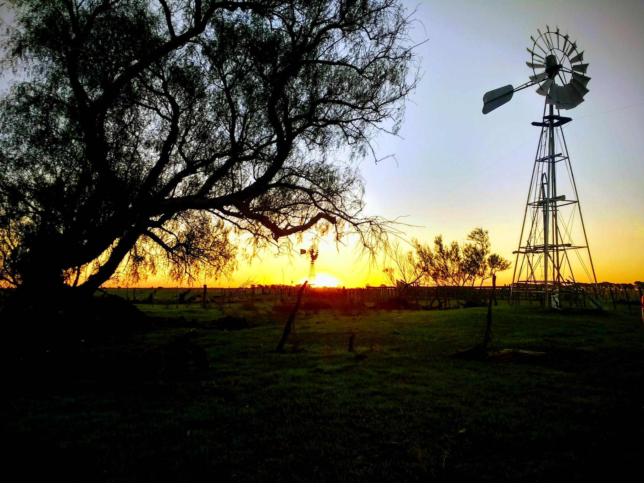 Ocaso Rodriguez, MNN